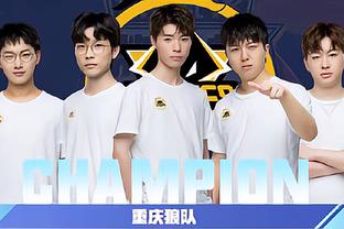 大类